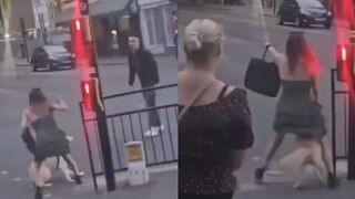 Muslim invaders stab a dog that was protecting a woman from assault
