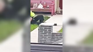 Police savages in North Wales trying to kill people