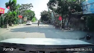 Motorcyclist Passes Away After Large Tree Falls Onto Him in Vietnam