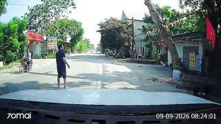 Motorcyclist Passes Away After Large Tree Falls Onto Him in Vietnam