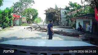 Motorcyclist Passes Away After Large Tree Falls Onto Him in Vietnam