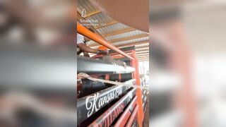 YEE HAW ! : BULL RIDER GETS STUCK IN FENCE AND FLUNG