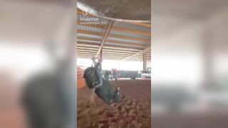 YEE HAW ! : BULL RIDER GETS STUCK IN FENCE AND FLUNG
