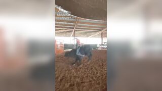 YEE HAW ! : BULL RIDER GETS STUCK IN FENCE AND FLUNG