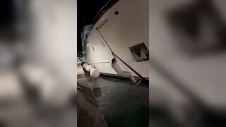 Bro Tried to Impress His Friends...