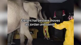 German streamers rent an elephant for clicks