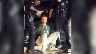 Hayden Panettiere’s Boyfriend Brian Hickerson Spotted Being Handcuffed, Shouting Abou