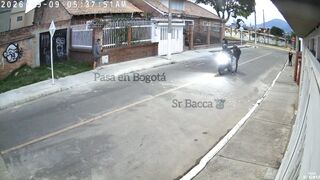 Dog Attacks Phone Thieves And Rescues Owner
