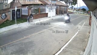 Dog Attacks Phone Thieves And Rescues Owner