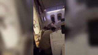 Attack on Cabin Crew Member on Emirates Flight