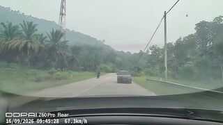 Wild Dashcam Footage: Illegal Motorcycle Race Ends in Violent Crash