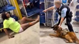 Black Woman Bitten By K9, Punched By St.louis City Police Officer