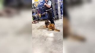 Black Woman Bitten By K9, Punched By St.louis City Police Officer