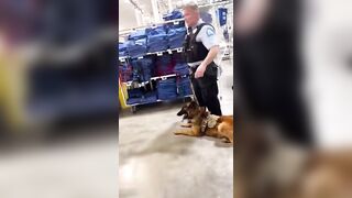 Black Woman Bitten By K9, Punched By St.louis City Police Officer