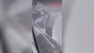 SUV driver collided with the bus This bitch ultimately caused 6people to die that day