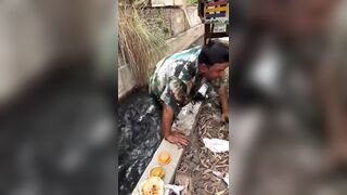 The BRICS summit Chef!