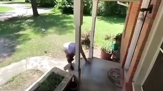 Package thief sh*ts himself