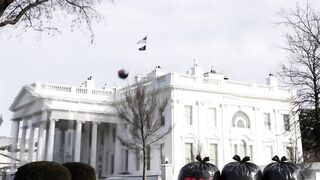 President Trump just posted this image of taking out the trash at the White House