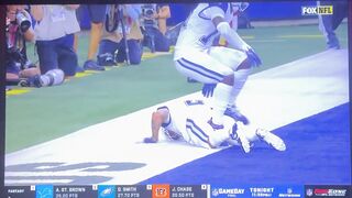 have never seen anything like this during an NFL game