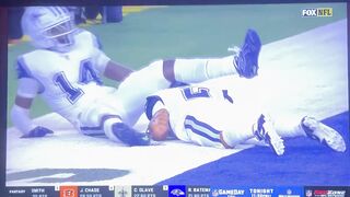 have never seen anything like this during an NFL game