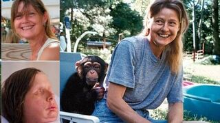 Travis the Chimp terrifying 911 call.