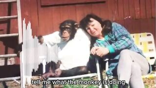 Travis the Chimp terrifying 911 call.