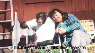 Travis the Chimp terrifying 911 call.