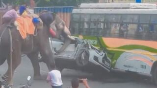 A furious elephant caught stomping on and damaging a car