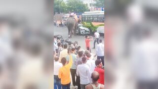 A furious elephant caught stomping on and damaging a car