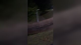 Another gay wanker caught cutting down the British flags