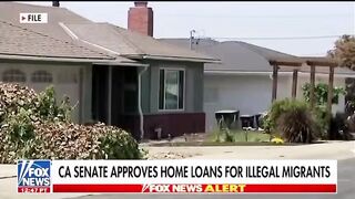 Newscum Commifornia!