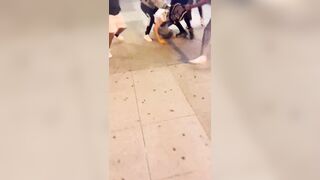 A group of "teens "was caught on camera attacking another teen at CTA Stop