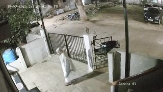 A MONKEY killed a 91-year-old woman in India