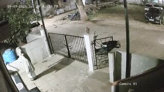 A MONKEY killed a 91-year-old woman in India