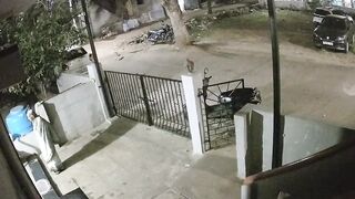 A MONKEY killed a 91-year-old woman in India