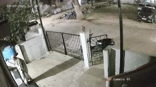 A MONKEY killed a 91-year-old woman in India