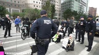 Mass ARRESTS as Climate Activists against Palantir BLOCK West Side Highway outside World Trade Center