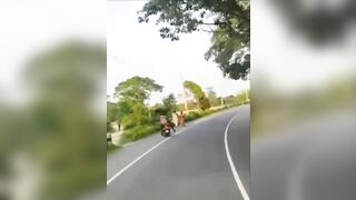 2 Girls 1 Terrible Motorcycle Driver