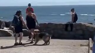 Woman Walking Two Dogs Eliminates Karen with the Quickness.