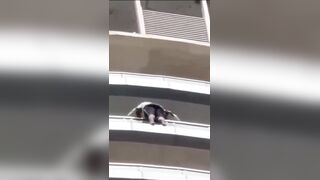 India MAN LEAPS from 43RD FLOOR as PEOPLE PLEAD with him NOT TO JUMP