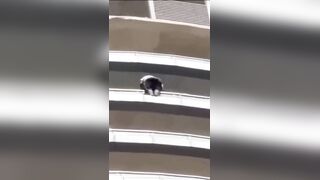 India MAN LEAPS from 43RD FLOOR as PEOPLE PLEAD with him NOT TO JUMP