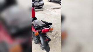 Man Tweaking Out at Corner Store Gets Face and Glasses Punched In