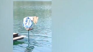 Olympian Alina Kornelli practicing on a pumpfoil in a traditional Bavarian dirndl