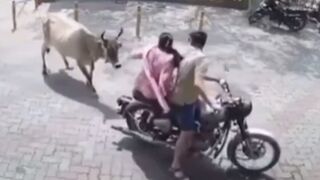 The Girl in the Pink is the One the Bull Wants. Boyfriend Stops his Bike Why?