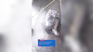 Is a serial killer on the loose in São Paolo?