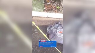 Is a serial killer on the loose in São Paolo?