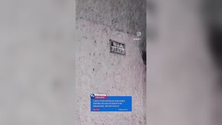 Is a serial killer on the loose in São Paolo?