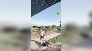‘GO BACK TO MEXICO’Woman confronts camera crew during MARRIAGE PROPOSAL in California