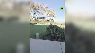 ‘GO BACK TO MEXICO’Woman confronts camera crew during MARRIAGE PROPOSAL in California