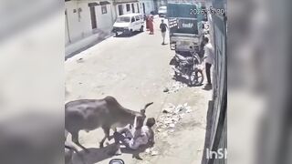 Gurpreet jeet friend tries to save him but kills him with a rock to the temple!